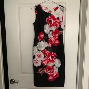 Callie’s Klien dress